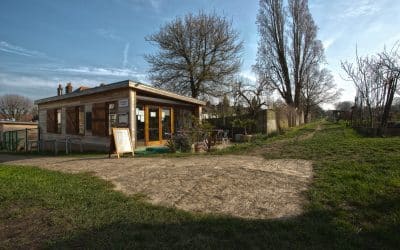 Rosendale Allotments
