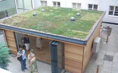 Why being eco is good for business