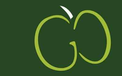 Gold for The Learning Escape in The Green Apple Awards