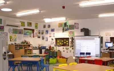 The Learning Escape Warranties